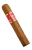 CHARUTO PERCEVERANCIA ROBUSTO